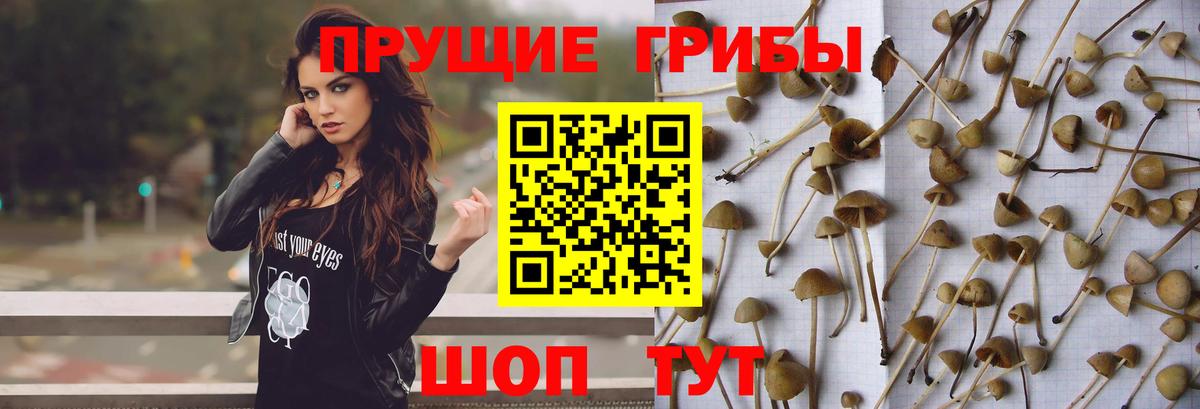 Галлюциногенные грибы мицелий Качканар
