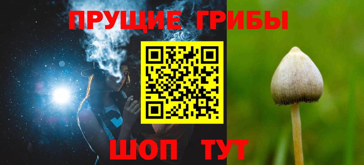 Галлюциногенные грибы мицелий  Вход с VPN  Качканар  Галлюциногенные грибы прущие грибы 